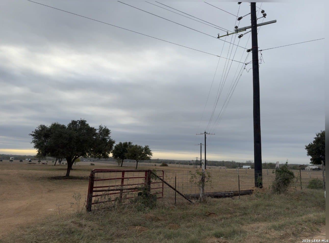 62.15 acres in Wilson County gallery image 3