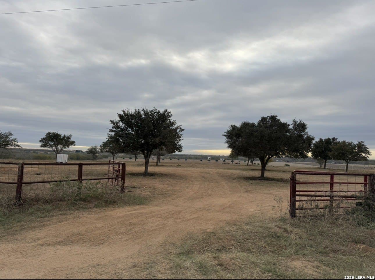 62.15 acres in Wilson County gallery image 4