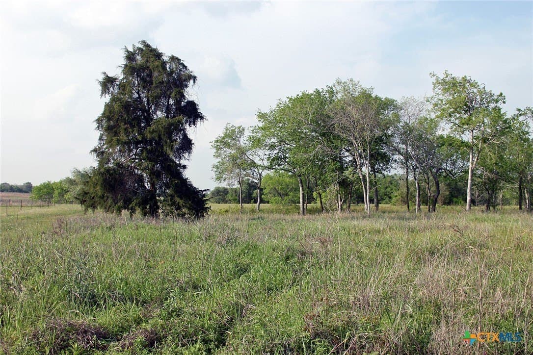 123.44 acres in Caldwell County - photo 6