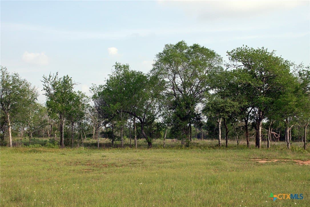 123.44 acres in Caldwell County gallery image 2