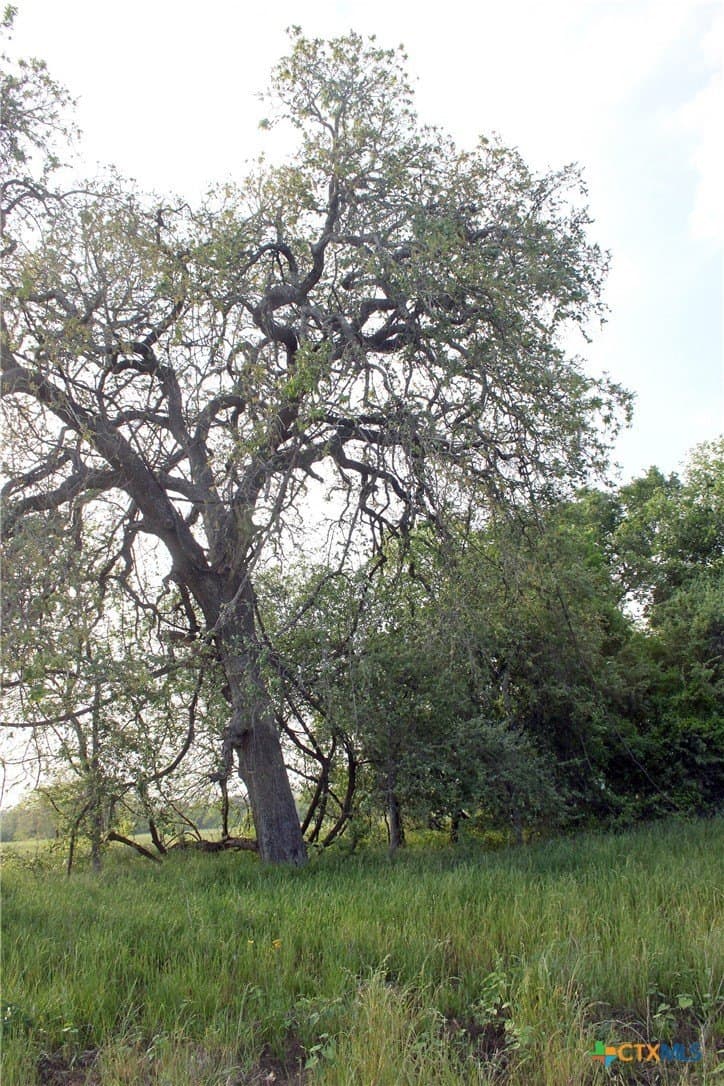123.44 acres in Caldwell County - photo 10