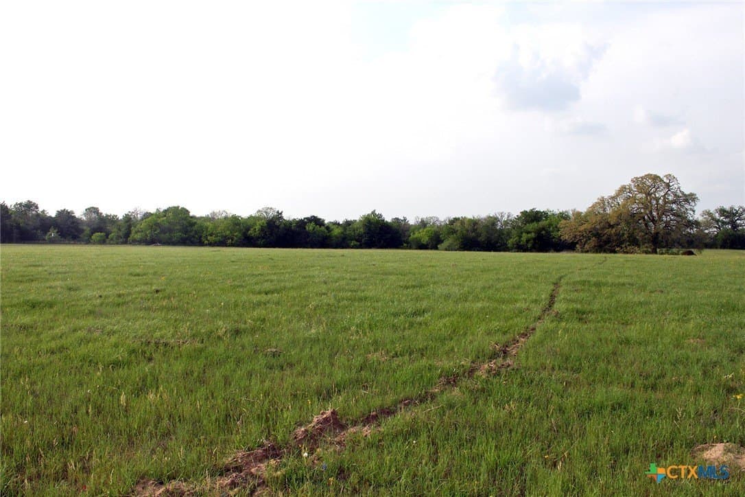 123.44 acres in Caldwell County - photo 8