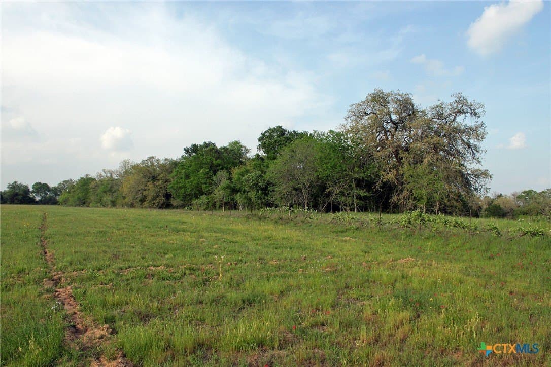 123.44 acres in Caldwell County - photo 9