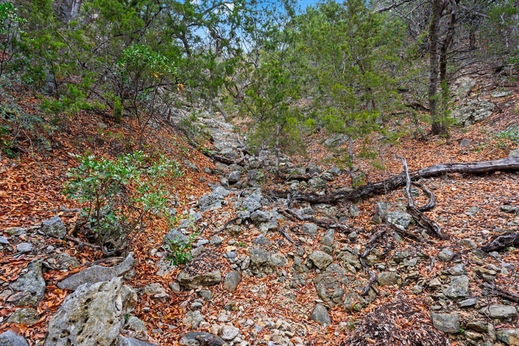 10.8 acres in Real County - photo 46