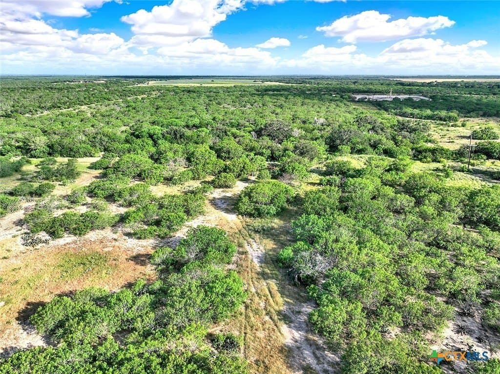 106.91 acres in Atascosa County - photo 10