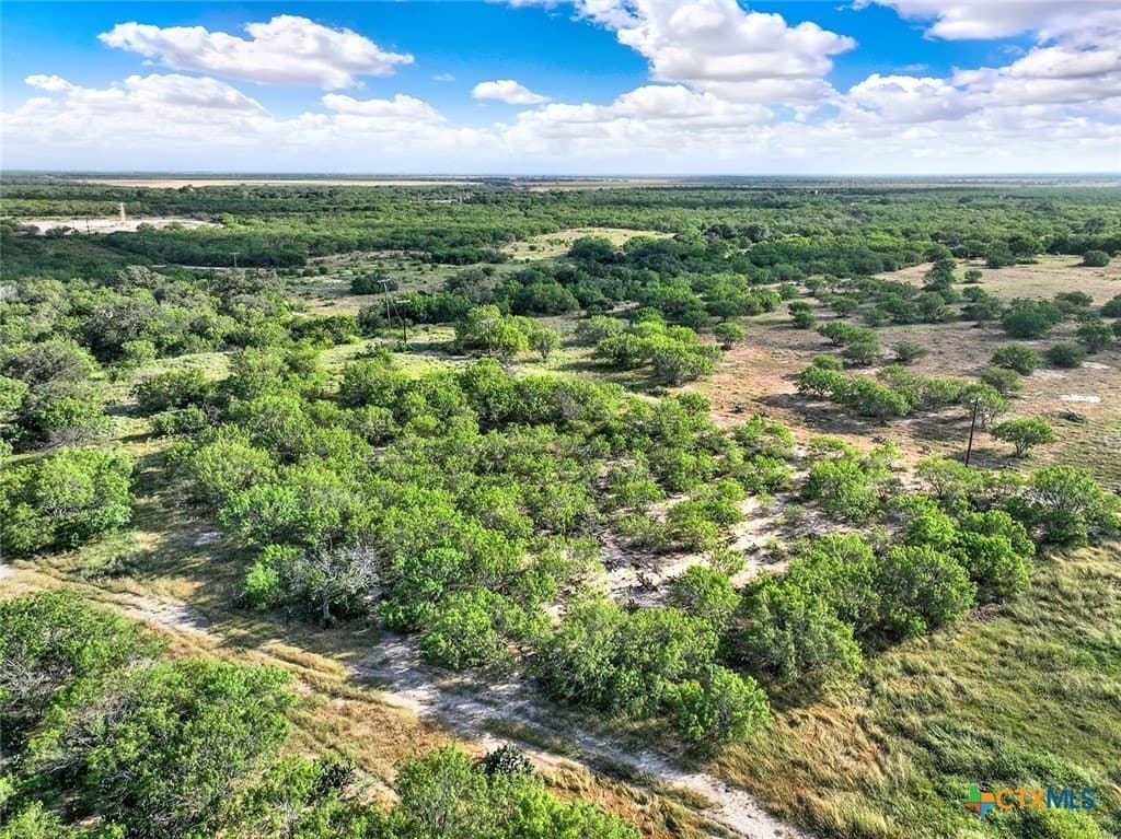 106.91 acres in Atascosa County - photo 9