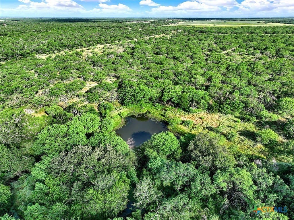 106.91 acres in Atascosa County - photo 11