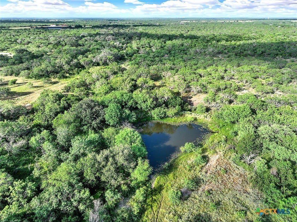 106.91 acres in Atascosa County - photo 12
