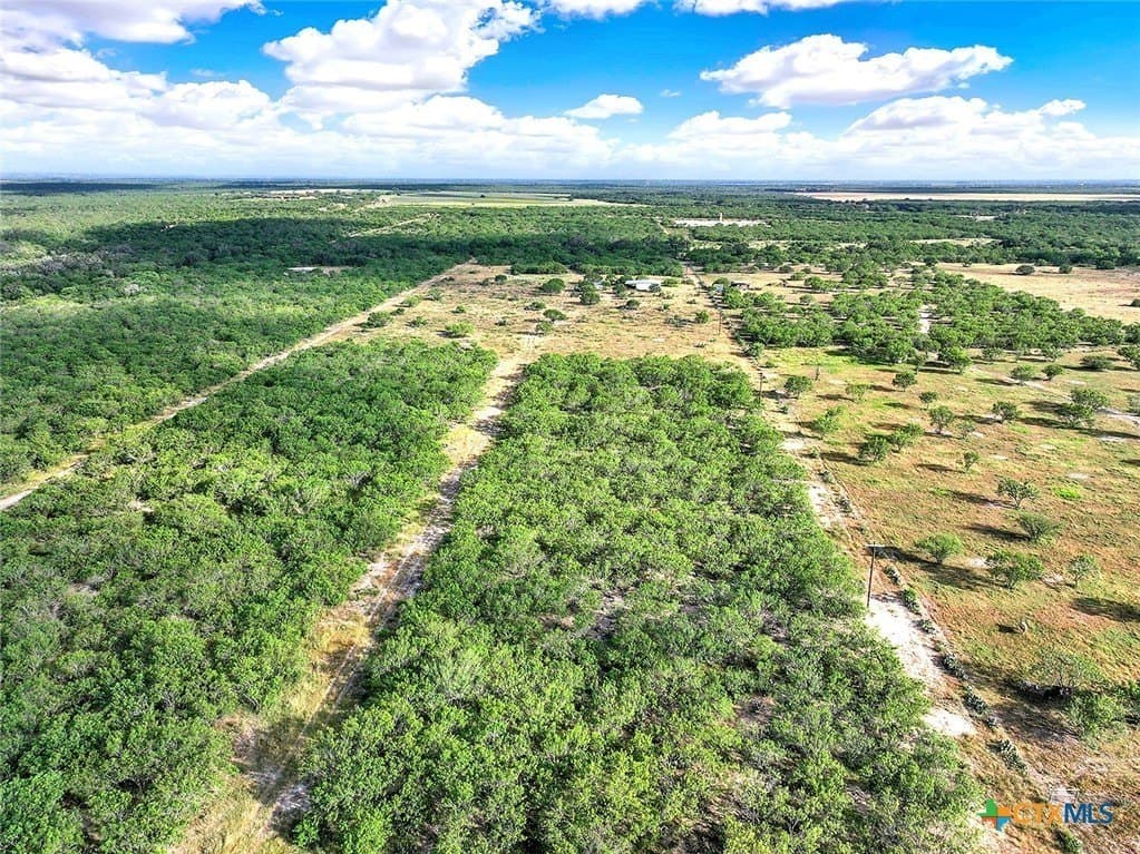 106.91 acres in Atascosa County - photo 5