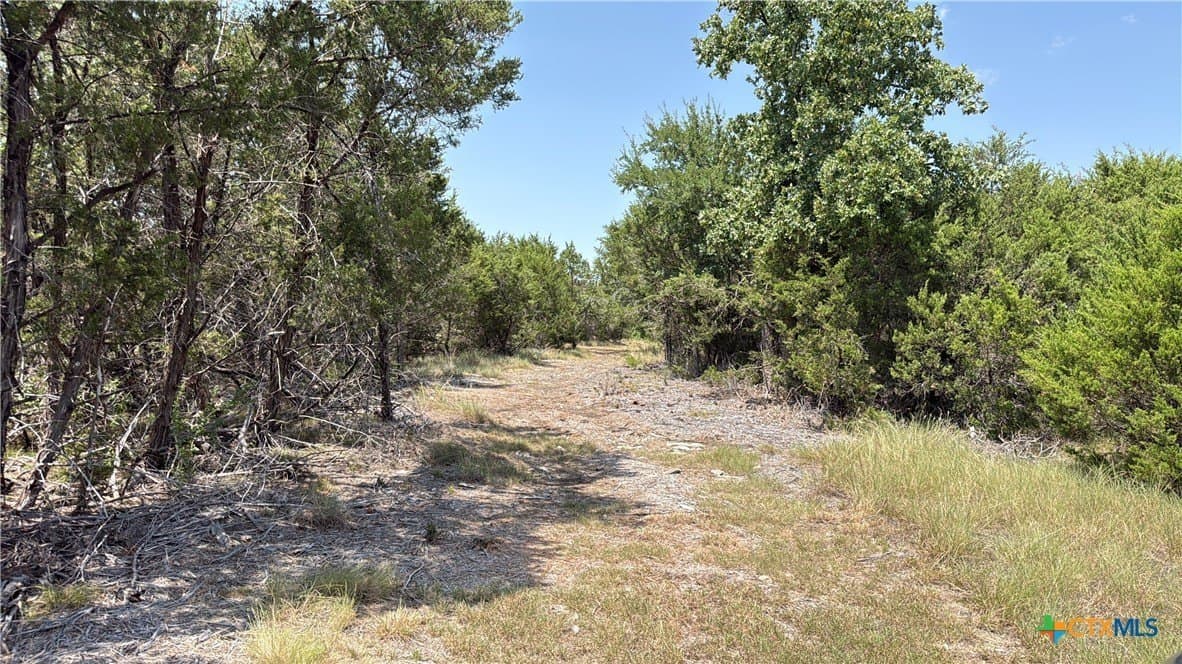 20.02 acres in Hamilton County - photo 11