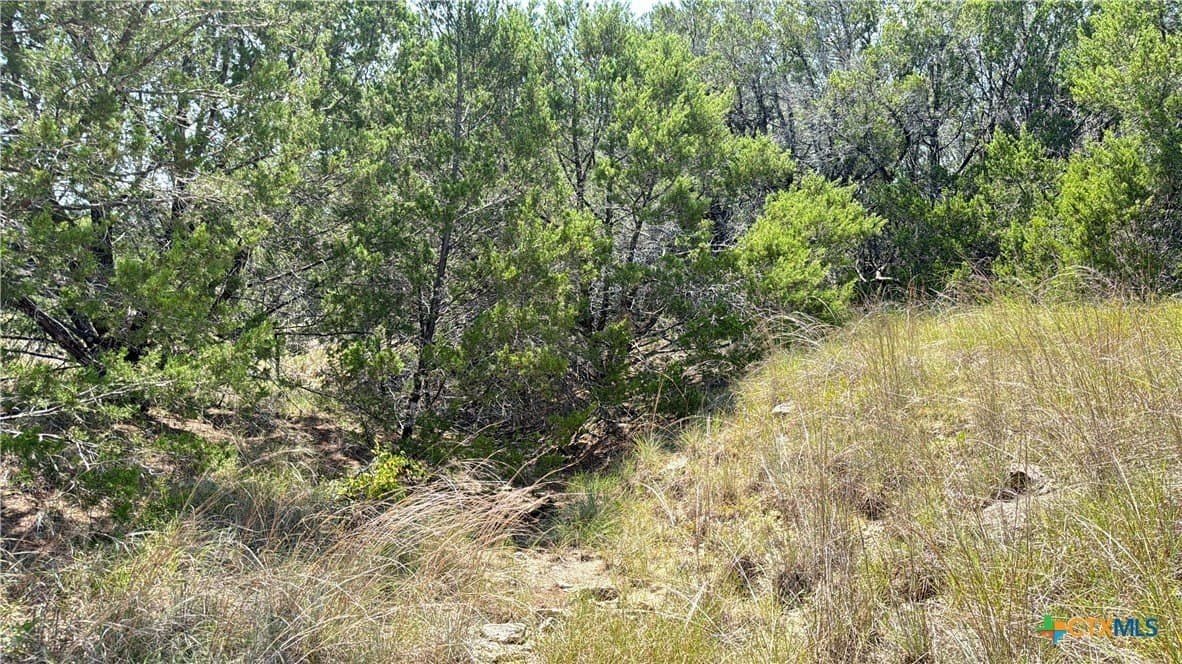 20.02 acres in Hamilton County - photo 8