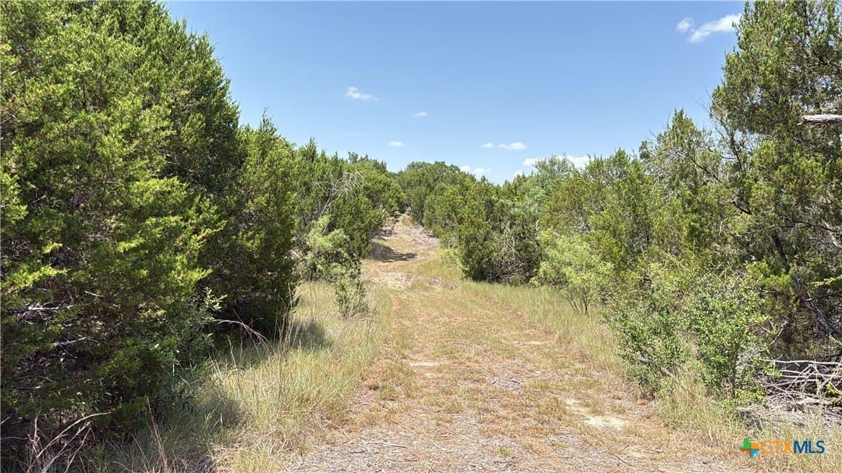 20.02 acres in Hamilton County - photo 7