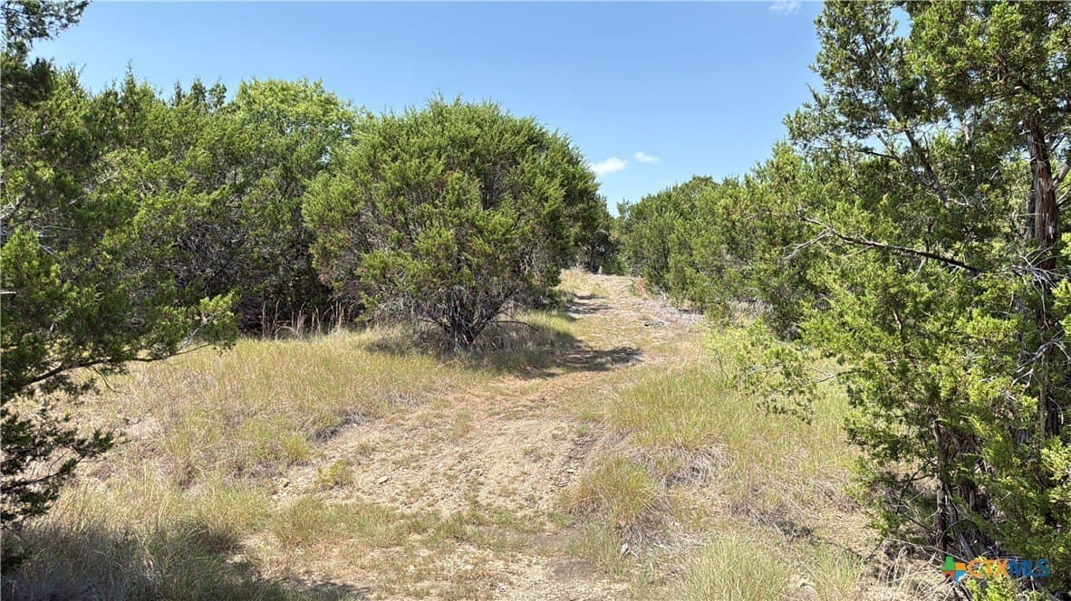 20.02 acres in Hamilton County - photo 10