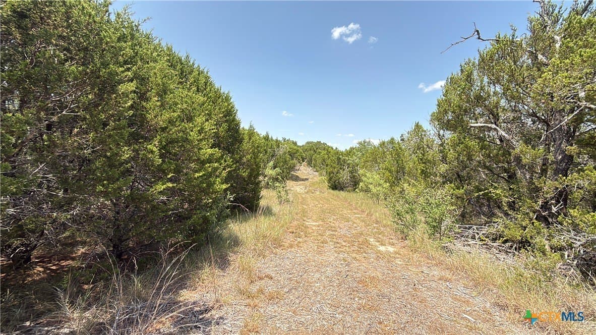 20.02 acres in Hamilton County - photo 6