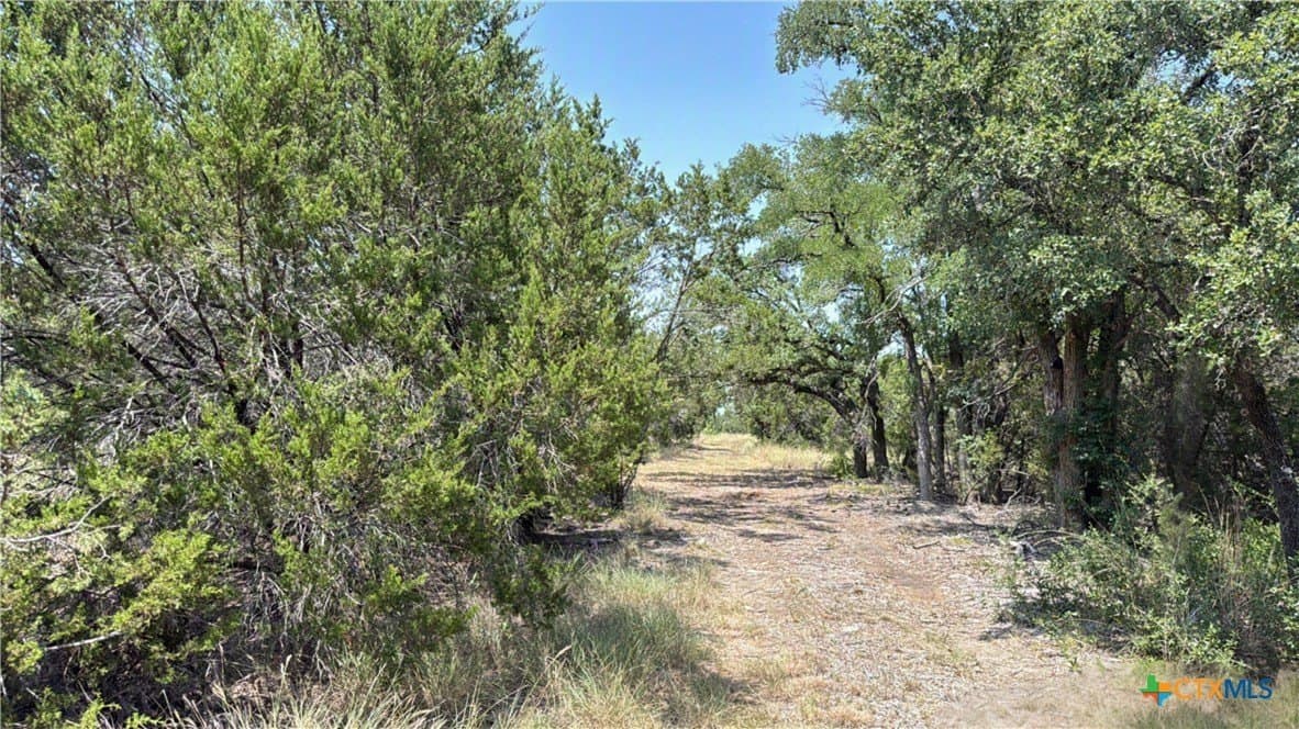 20.02 acres in Hamilton County - photo 12