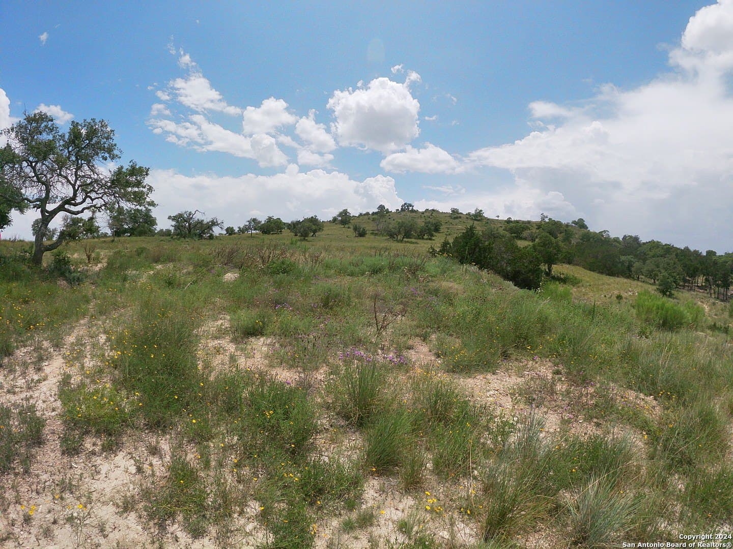 5.02 acres in Kerr County gallery image 4