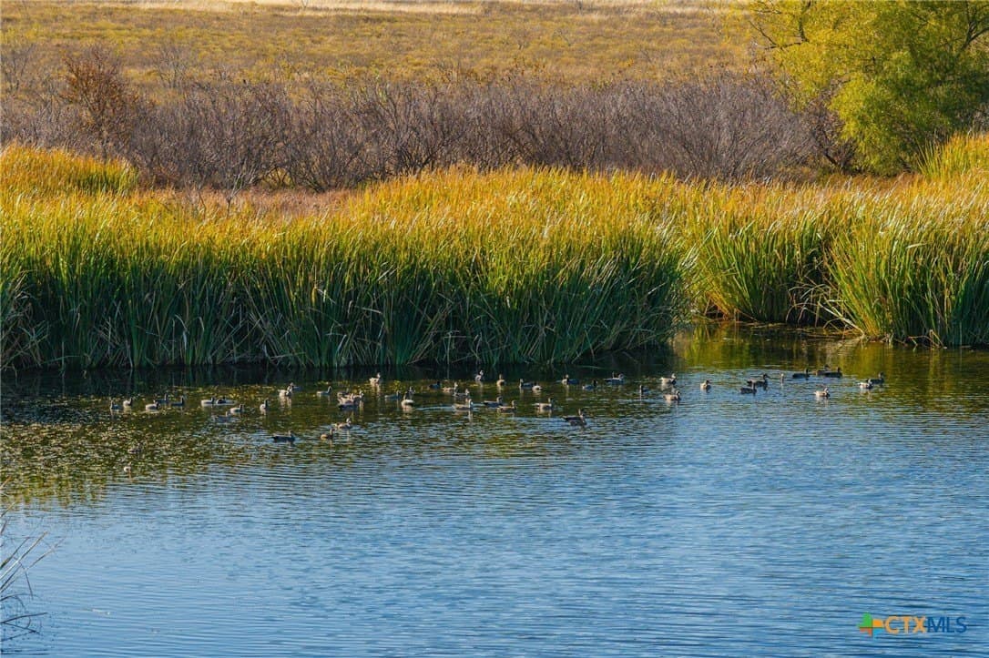 843 acres in Hill County - photo 23