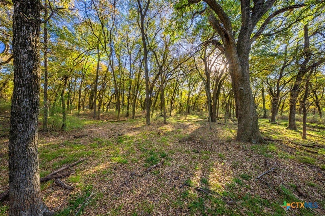 843 acres in Hill County - photo 22