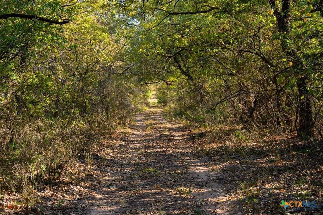843 acres in Hill County - photo 19