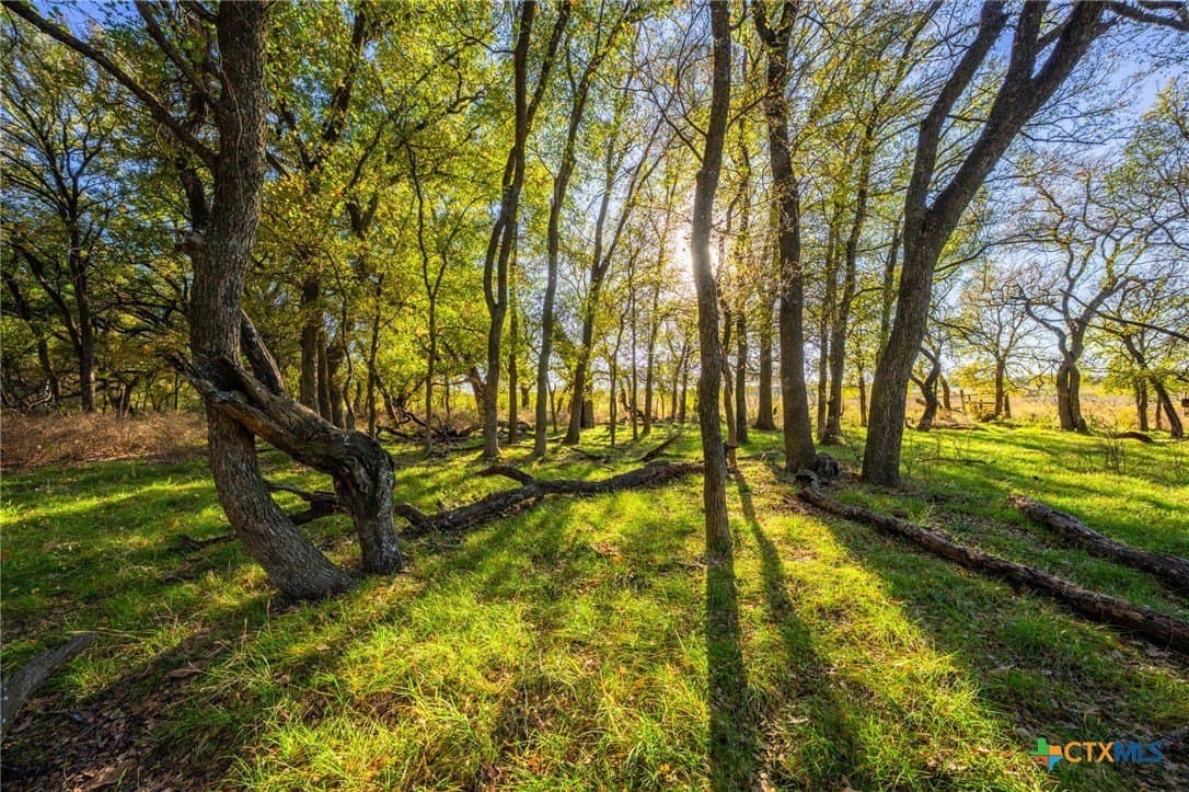 843 acres in Hill County - photo 32