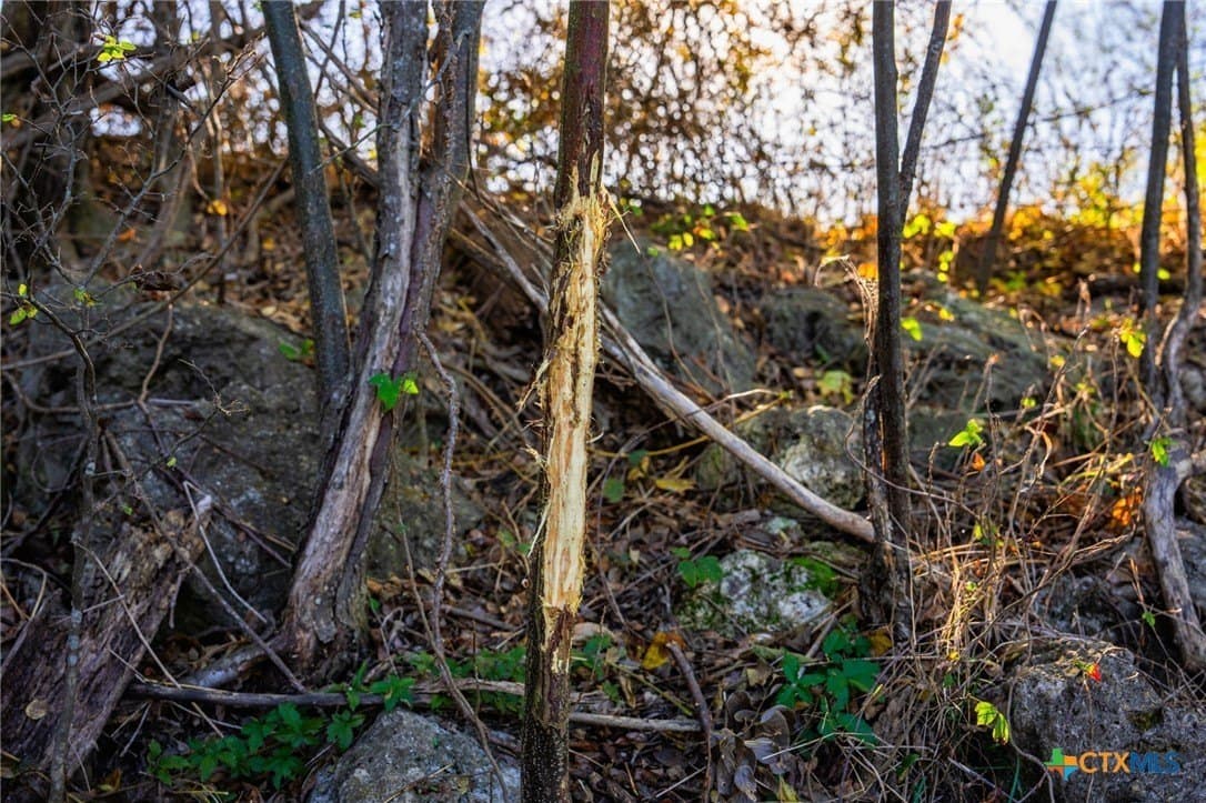 843 acres in Hill County - photo 35