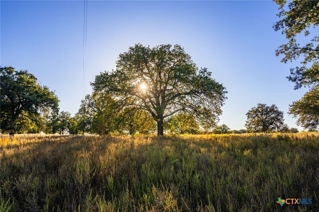 843 acres in Hill County - photo 14