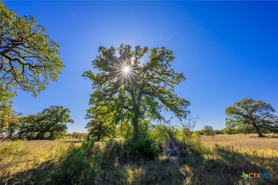 843 acres in Hill County - photo 29