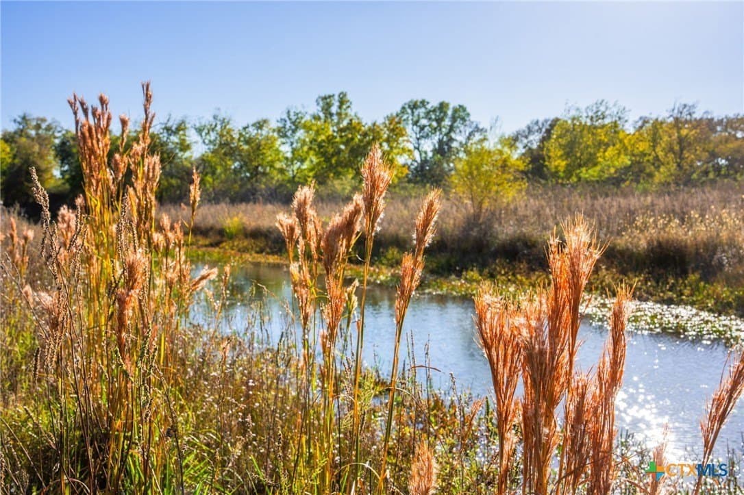 843 acres in Hill County - photo 13