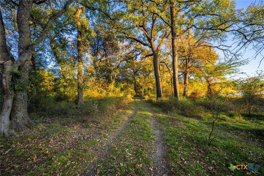 843 acres in Hill County - photo 37