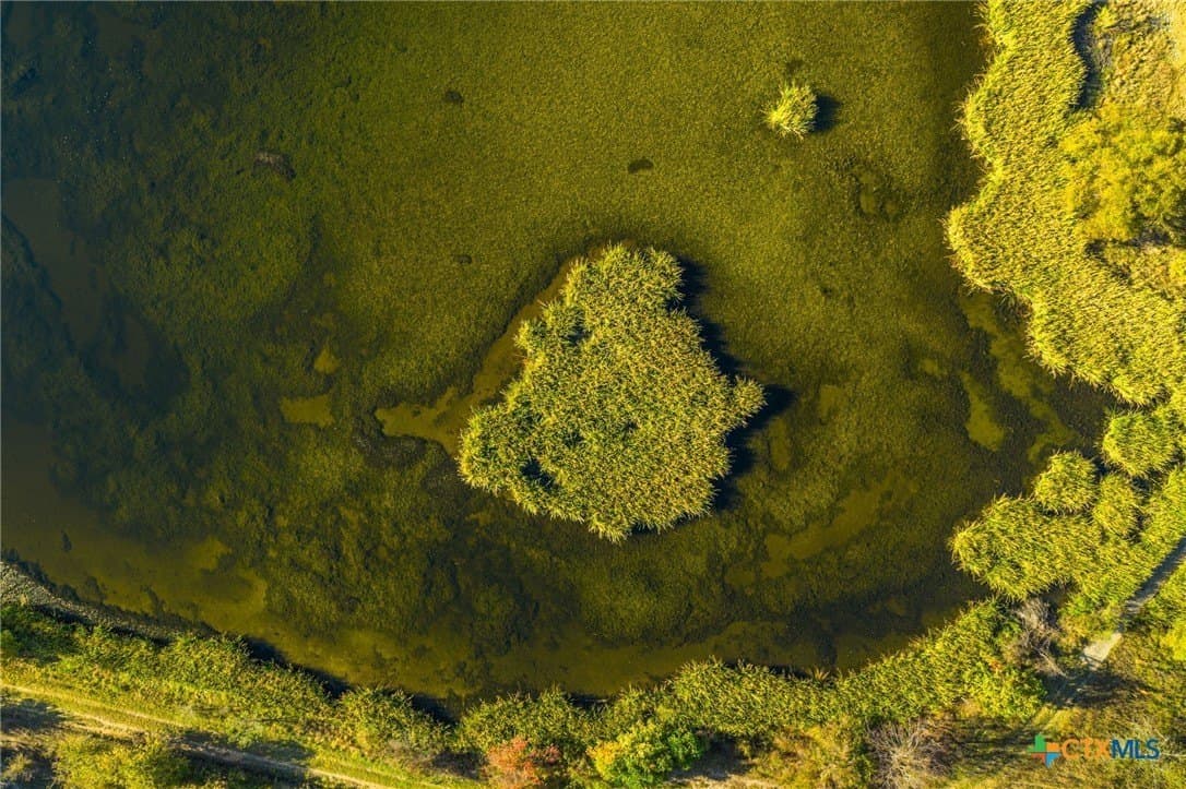 843 acres in Hill County - photo 8