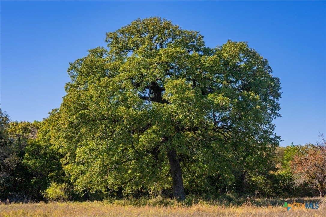 843 acres in Hill County - photo 30