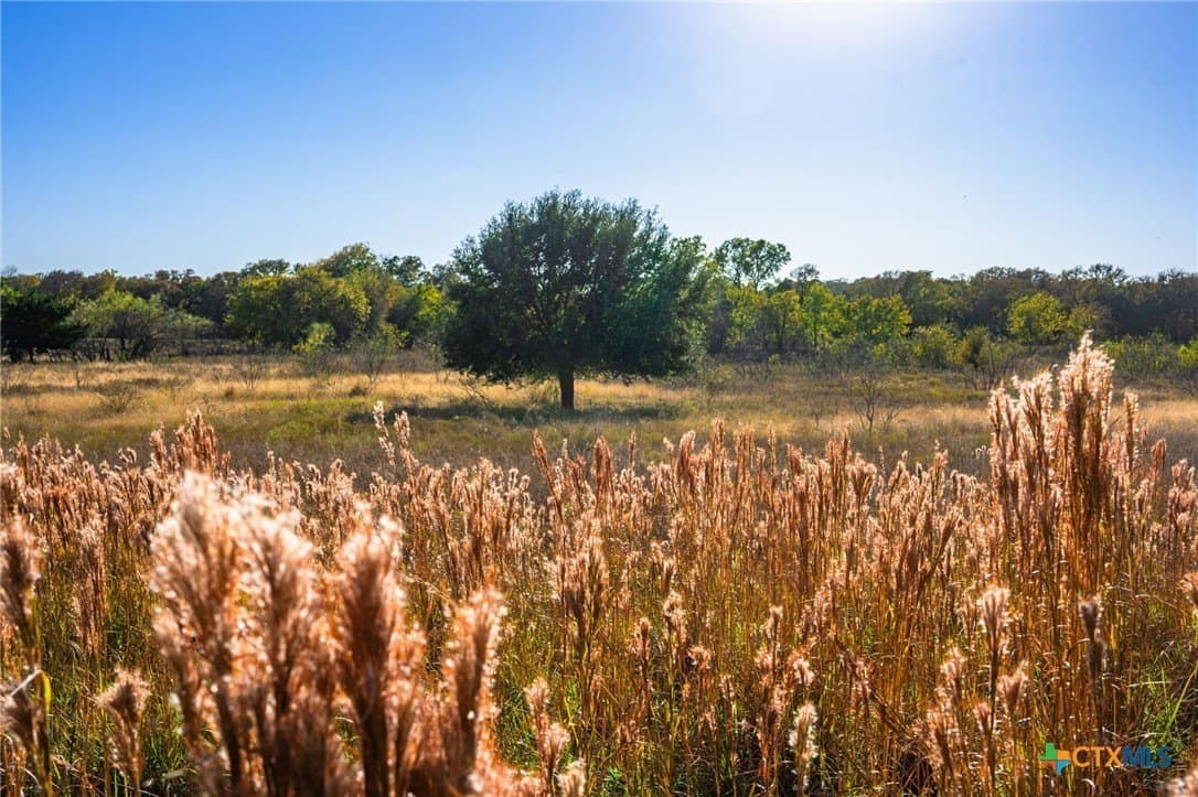 843 acres in Hill County - photo 24