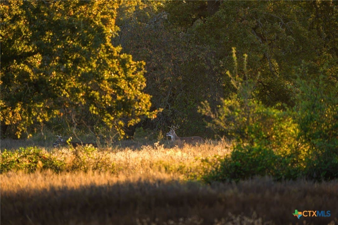 843 acres in Hill County - photo 12