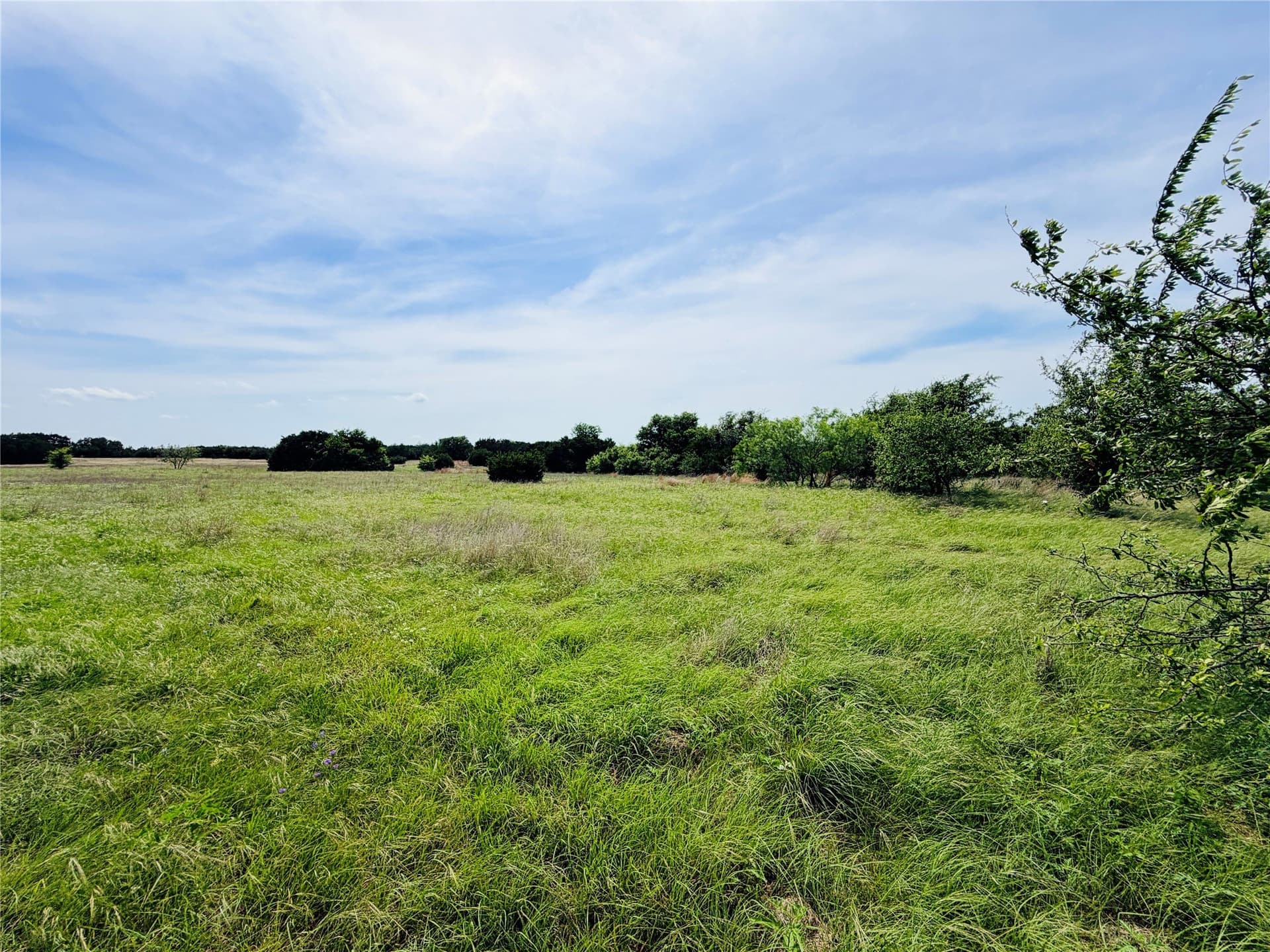 10.74 acres in Coryell County - photo 12