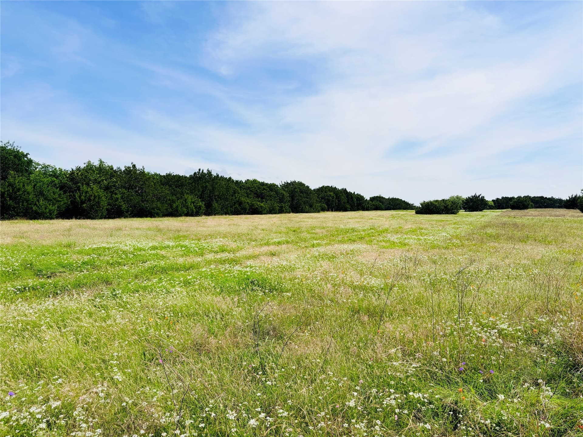 10.74 acres in Coryell County - photo 5