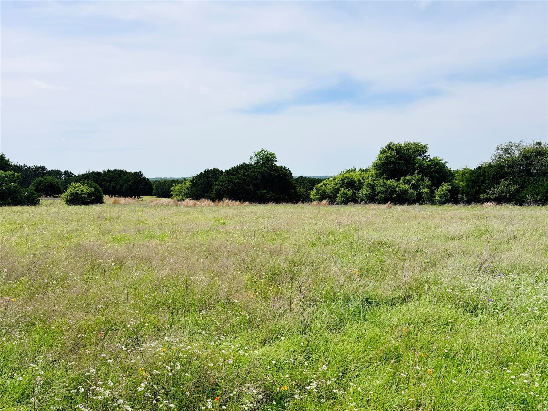 10.74 acres in Coryell County - photo 14