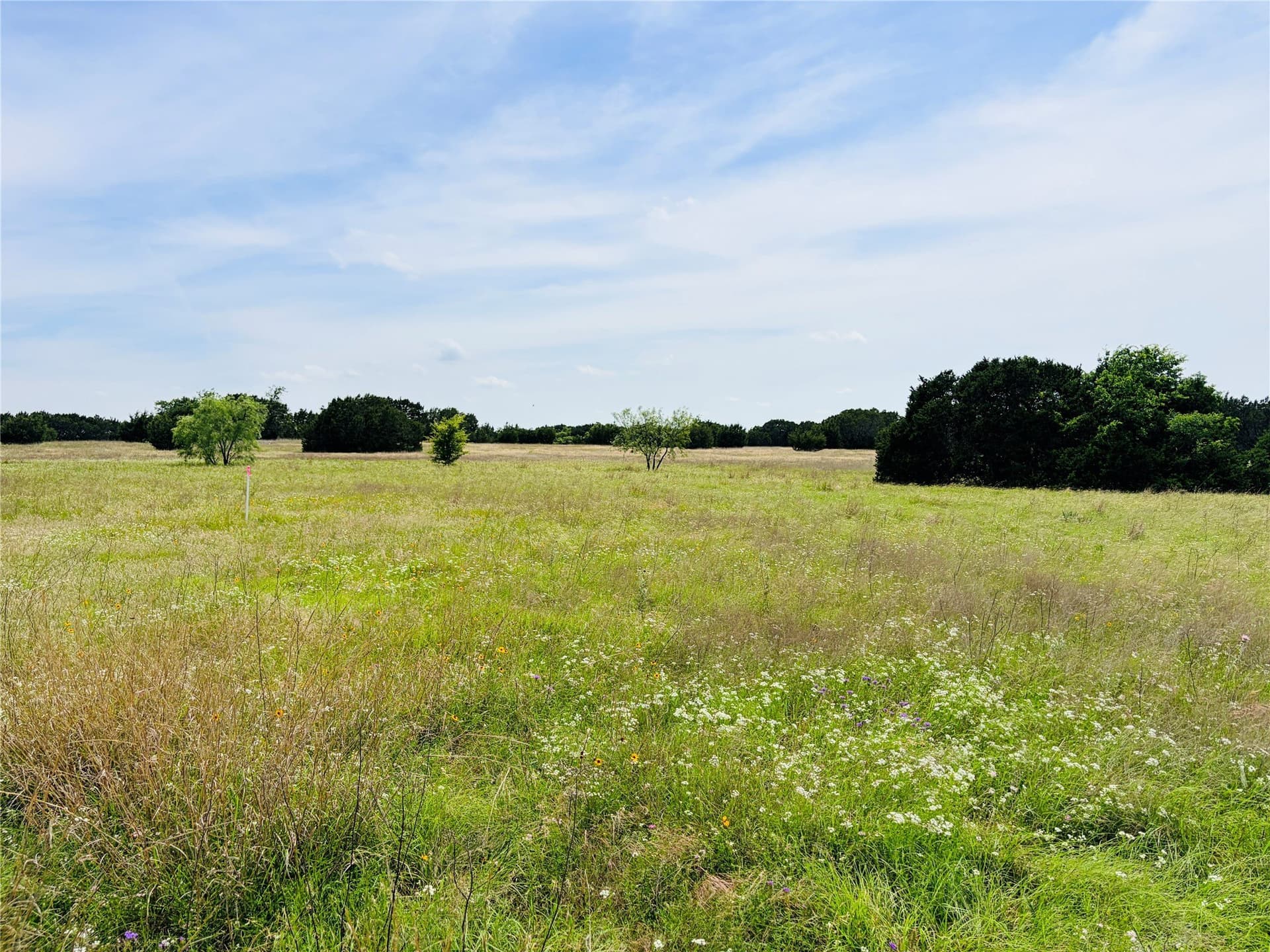 10.74 acres in Coryell County - photo 2