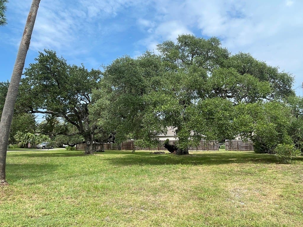 0.36 acres in Texas County gallery image 4