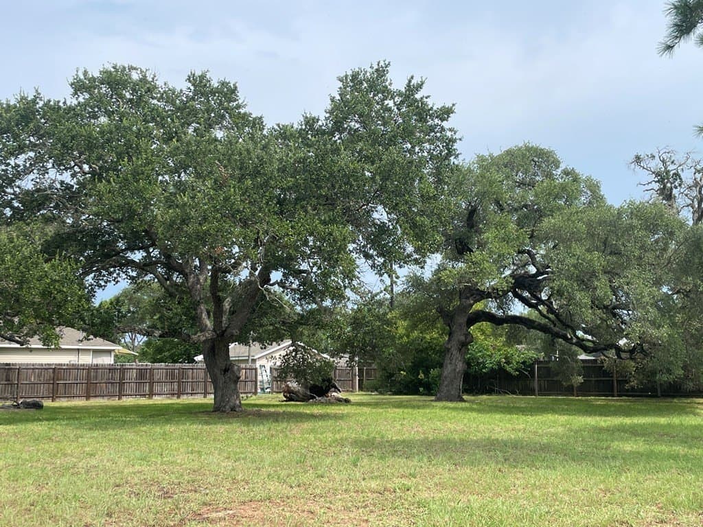 0.36 acres in Texas County featured view