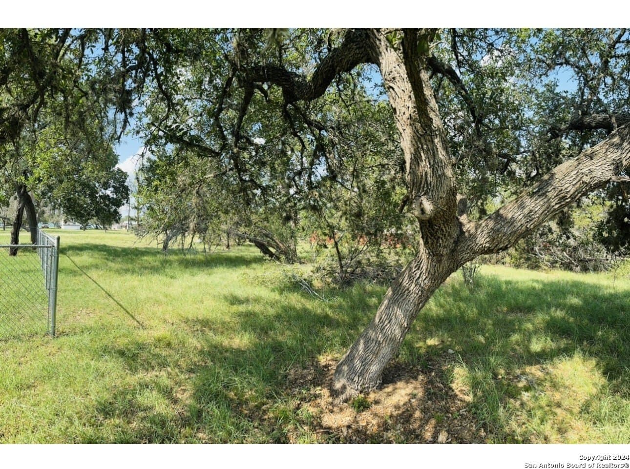 0.31 acres in Medina County - photo 6
