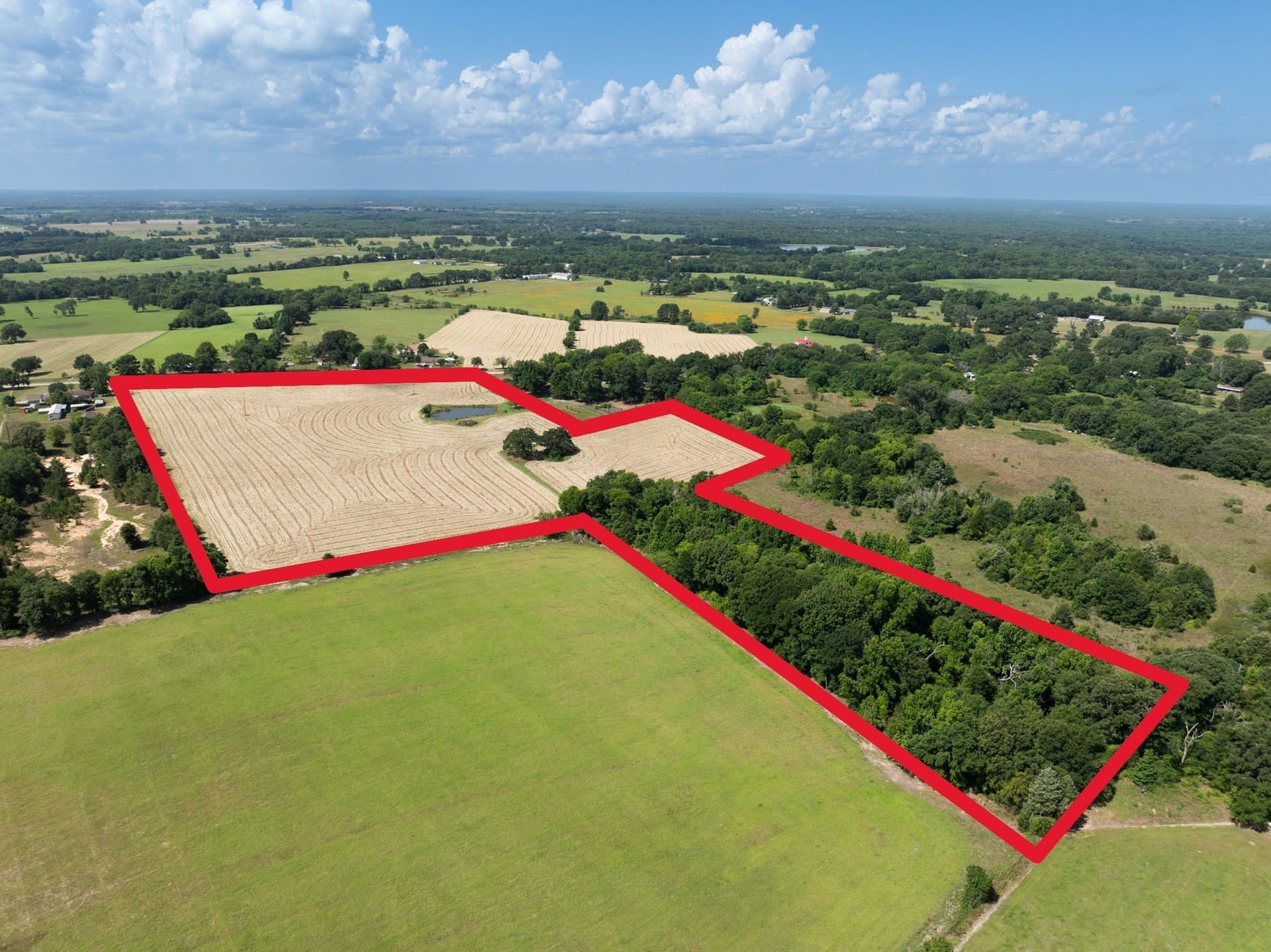 21.66 acres in Van Zandt County gallery image 2