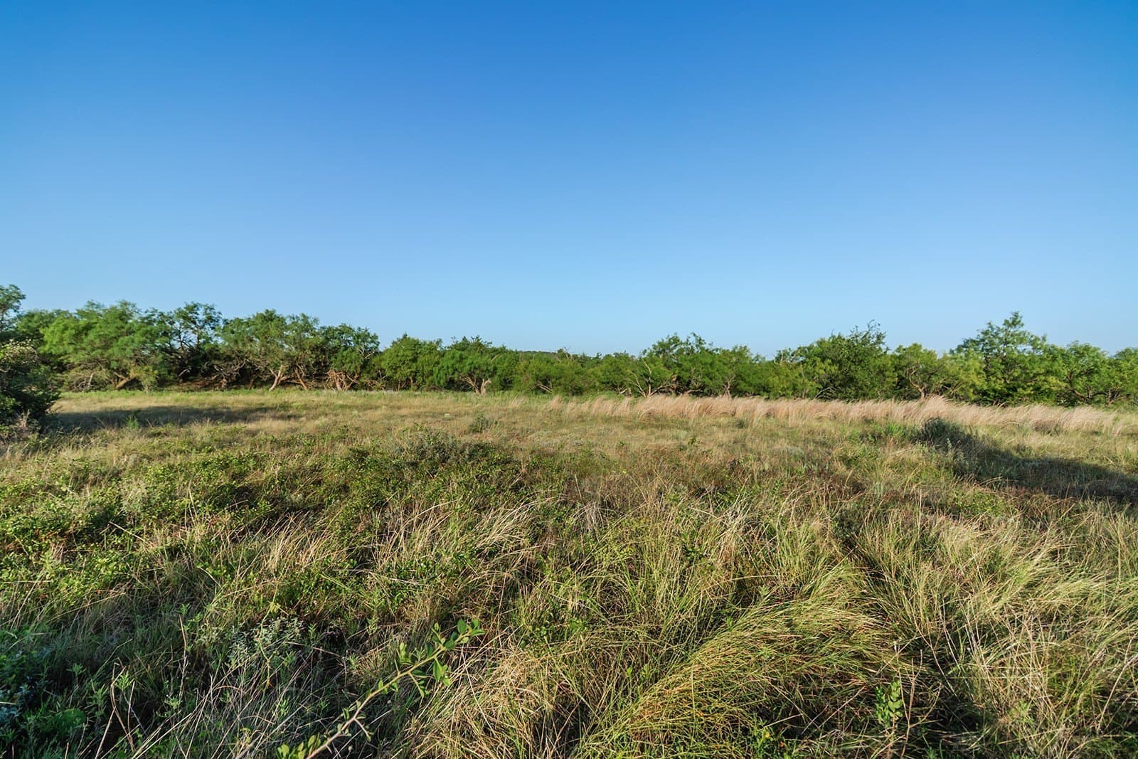 10.28 acres in McCulloch County - photo 14
