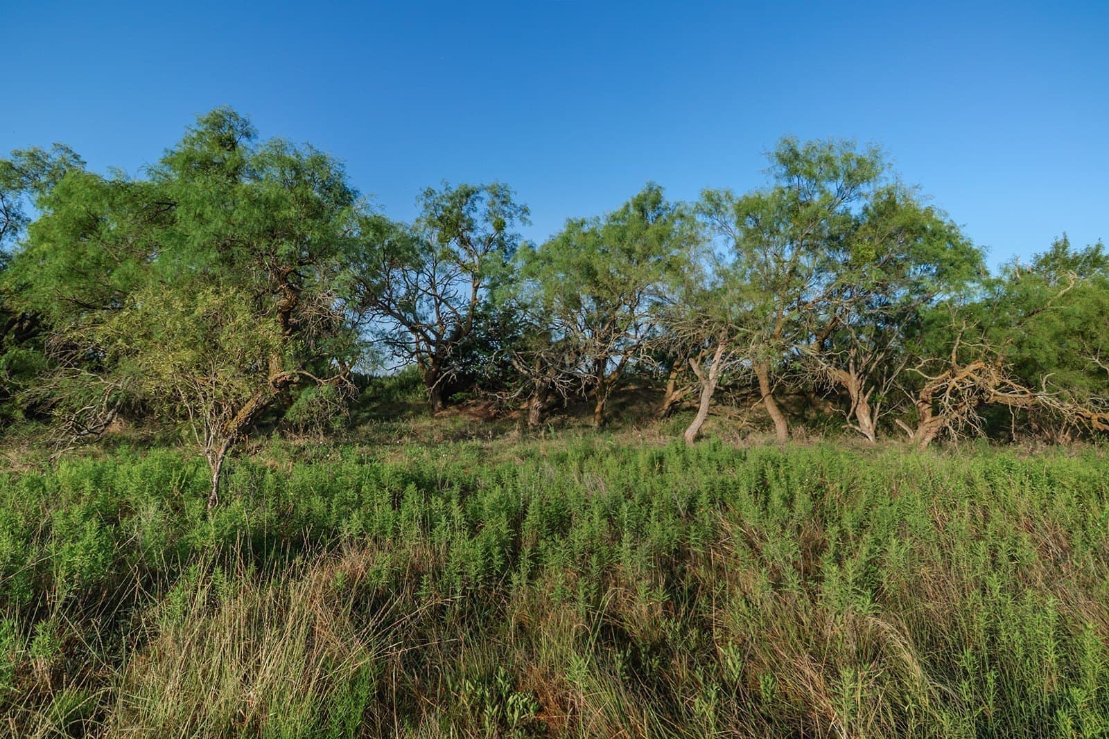 10.28 acres in McCulloch County - photo 7