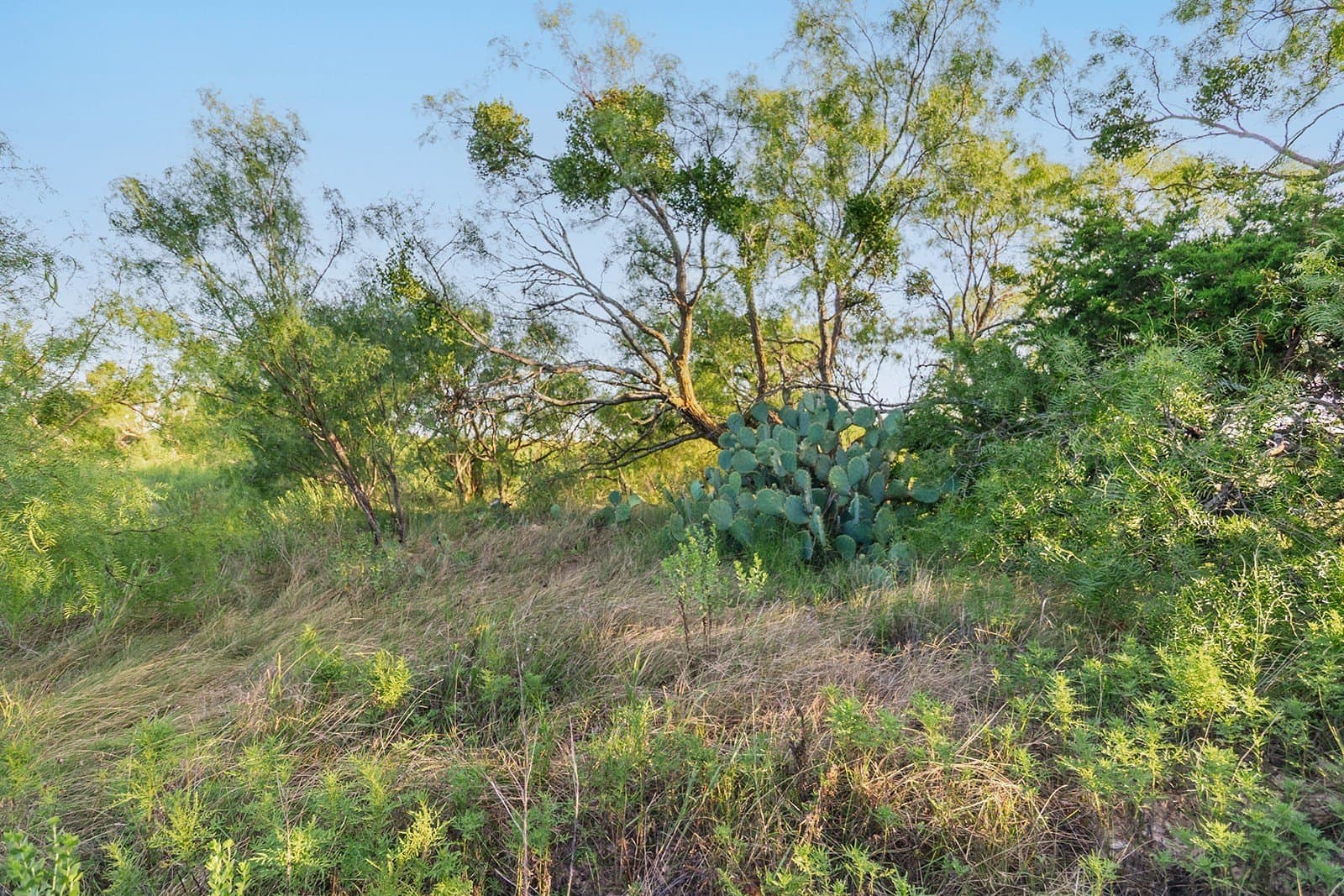 10.28 acres in McCulloch County - photo 11