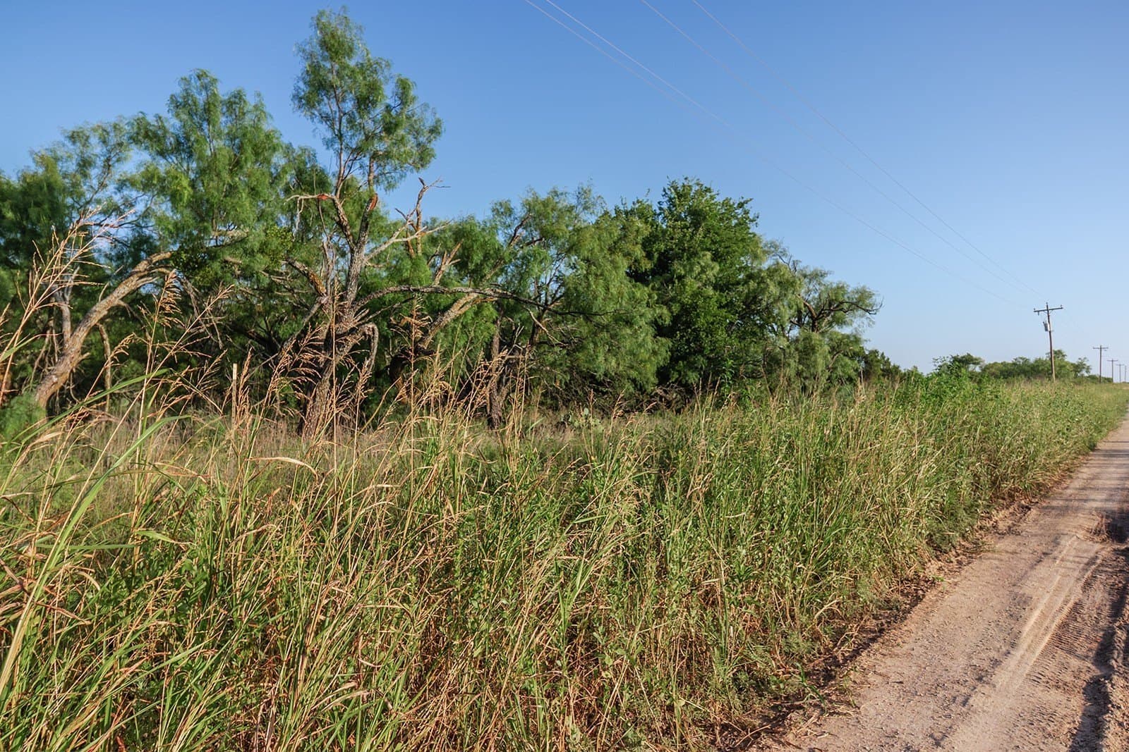 10.28 acres in McCulloch County - photo 16