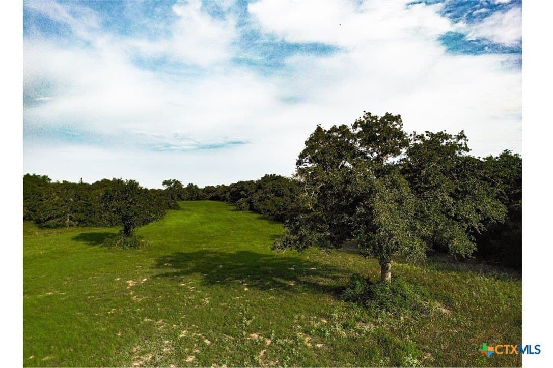 53.76 acres in Milam County gallery image 4