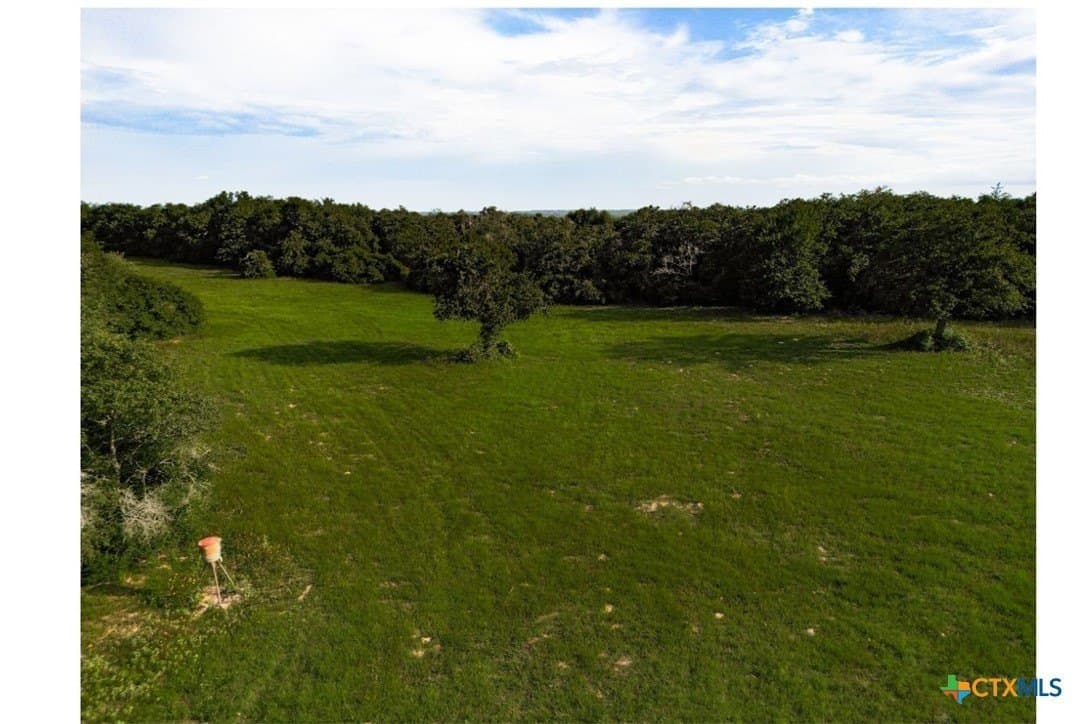 53.76 acres in Milam County gallery image 2