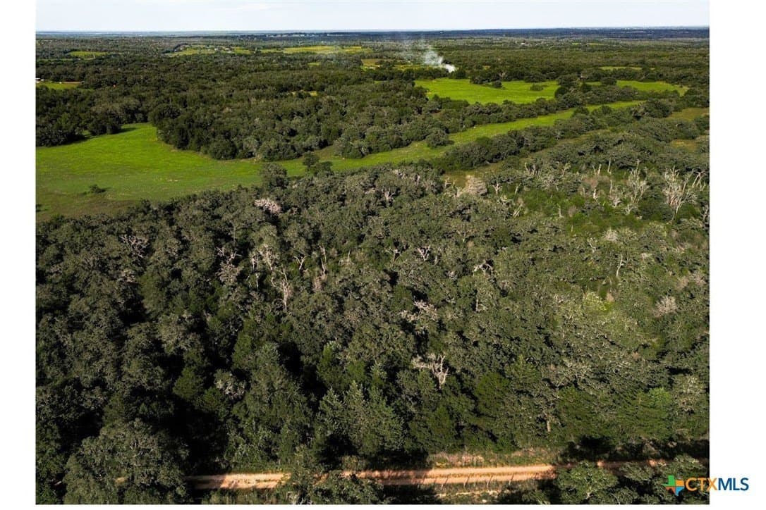 53.76 acres in Milam County - photo 11