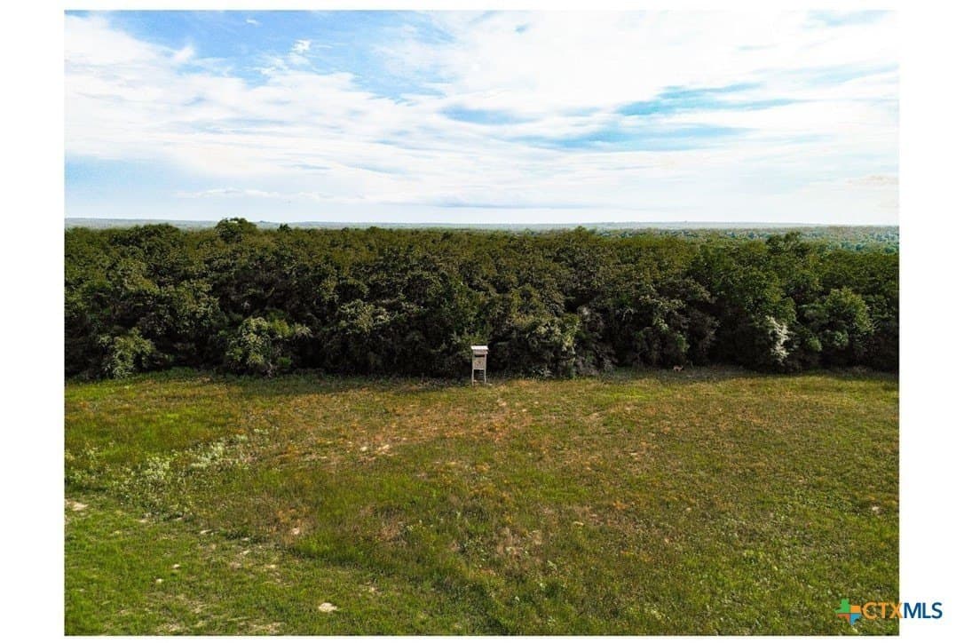 53.76 acres in Milam County gallery image 3