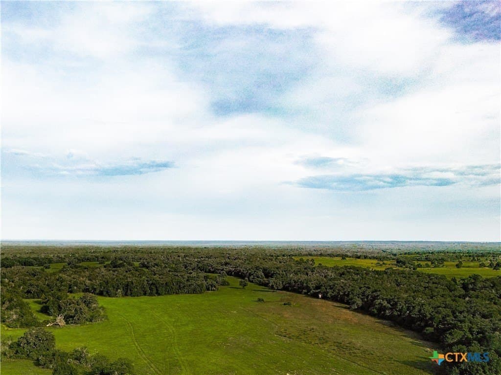 53.76 acres in Milam County featured view